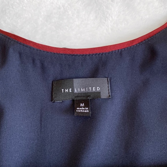 The Limited Satin Pinstripe Navy Tank Midi Dress - Picture 6 of 6